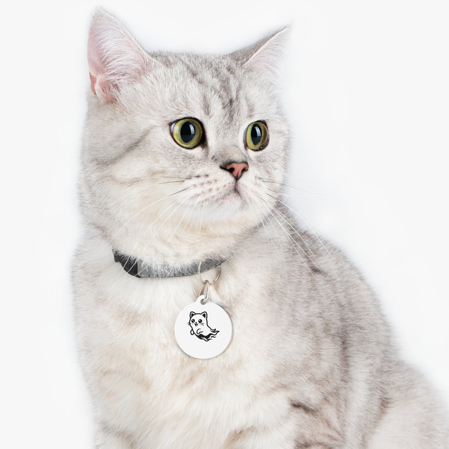 WeeGee GymCo (metal kitten tag) - Kitten "Ghost"