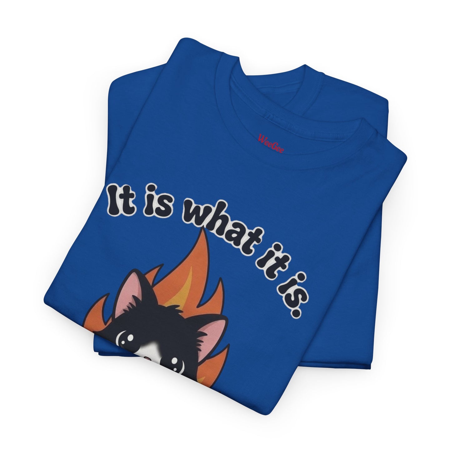 WeeGee GymCo Unisex Tee - It Is What It Is