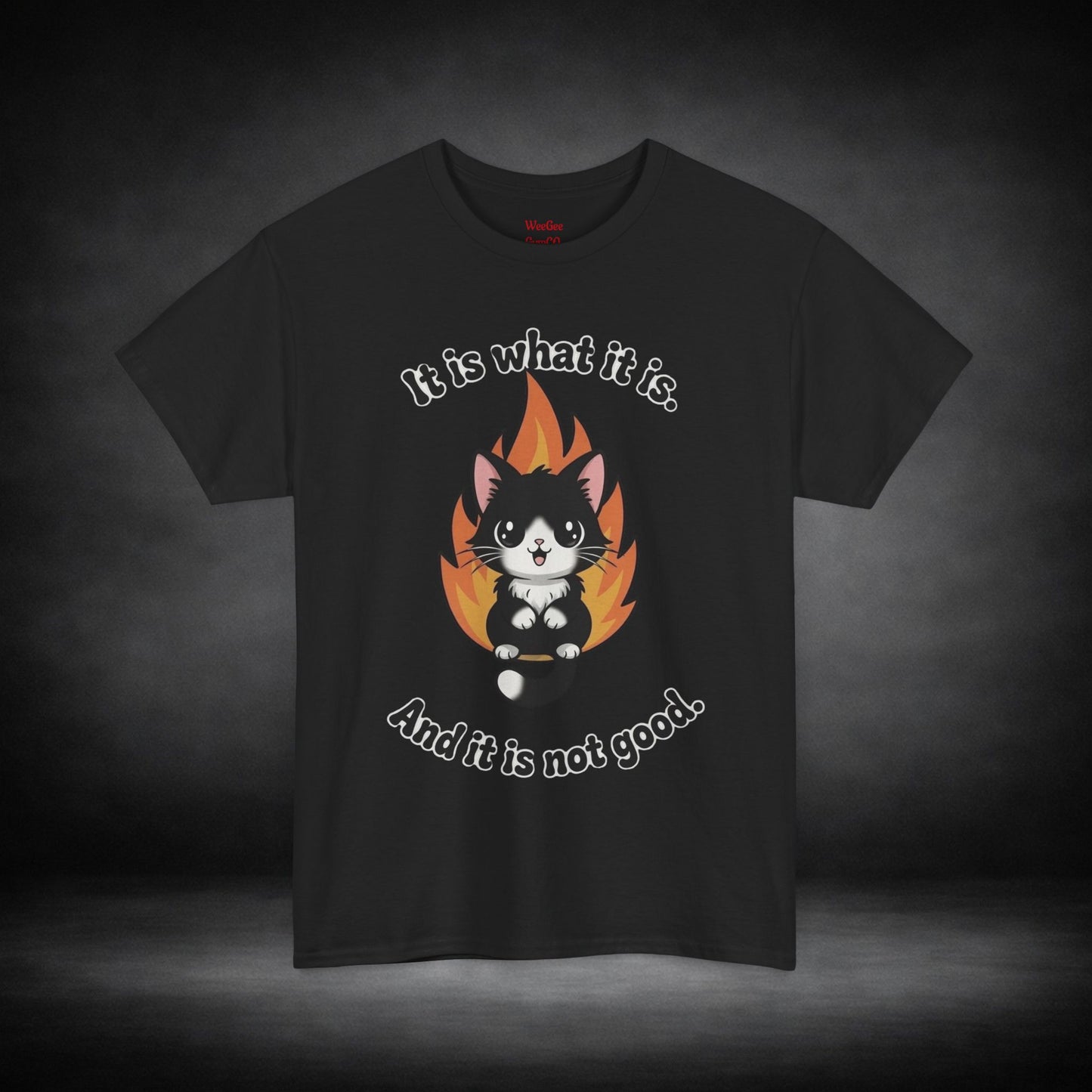 WeeGee GymCo Unisex Tee - It Is What It Is
