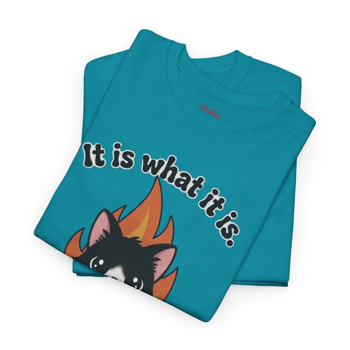 WeeGee GymCo Unisex Tee - It Is What It Is