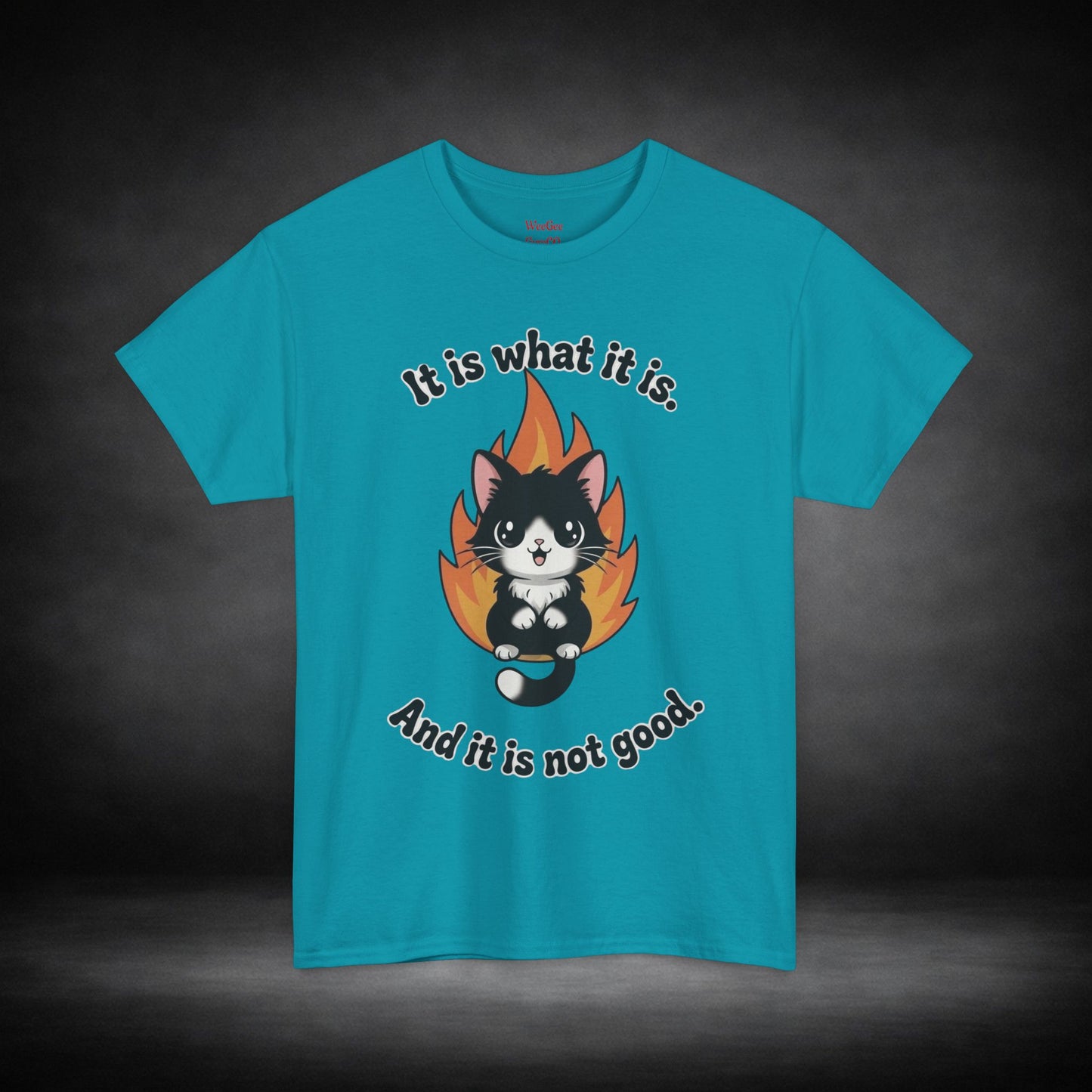 WeeGee GymCo Unisex Tee - It Is What It Is